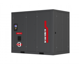 Винтовой компрессор Dalgakiran EAGLE 160W-10 VSD