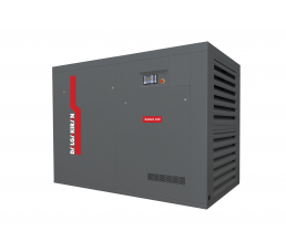 Винтовой компрессор Dalgakiran EAGLE 250W-10 VSD