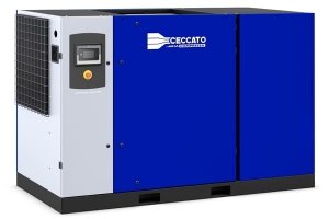 Винтовой компрессор Ceccato DRD 100 IVR H DRY