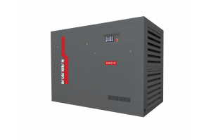 Винтовой компрессор Dalgakiran EAGLE 132W-10 VSD